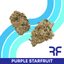 Purple Starfruit Buds 3.50 Gram