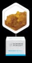 Tropical Rosin 1 Gram