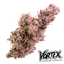Pink Passion Buds 14 Gram