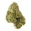 Yaaass Betch Buds 14 Gram