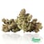 Private Banana Buds 3.50 Gram