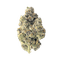 Lemon Pound Cake Buds 28 Gram