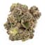 Mimosa Buds 28 Gram