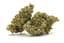 Black Haze Buds 3.50 Gram