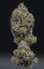 Funkdafied Buds 3.50 Gram