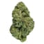 Guava Buds 28 Gram