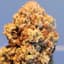 Blueberry Bubblegum Buds 28 Gram
