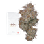 Hashburger Buds 7 Gram