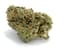 Bio Star Buds 3.50 Gram