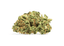 Jean Guy 3.50 Gram Flower Buds