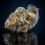 Purple Punch Buds 14 Gram