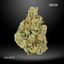 Spritzer Buds 14 Gram