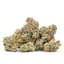 Donny Burger Buds 28 Gram