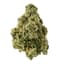 Florida Kush Buds 1 Gram