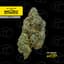 Chile Azul Buds 1 Gram