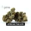 African Thai Buds 7 Gram