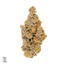 Black Diamond Buds 14 Gram