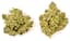 Phoenix Buds 3.50 Gram
