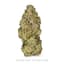 Jack Herer Buds 28 Gram