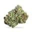 Subzero Buds 14 Gram
