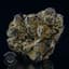Banana Dulce Buds 56 Gram