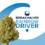 Rainbow Driver Buds 7 Gram