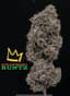 Strawberry Runtz Buds 28 Gram