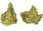Apricot Scone Buds 3.50 Gram