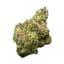 Dosidos Buds 28 Gram