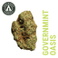 Governmint Oasis Buds 3.50 Gram