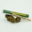 Apple Fritter 1 Pack Pre Rolls 1 Gram