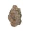 Apple Fritter Buds 3.50 Gram