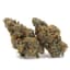 Carbon Fiber Buds 28 Gram