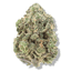 Pop Buds 1 Gram