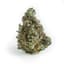 Tiger Cake Buds 3.50 Gram