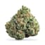 Dantes Inferno Buds 14 Gram