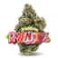 Strawberry Runtz Buds 3.50 Gram