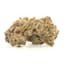 Shady Apples Buds 3.50 Gram
