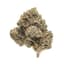 Durban Grapefruit Buds 3.50 Gram