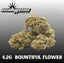 Grapefruit Buds 4.20 Gram