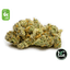 Garlic Cookies Buds 28 Gram