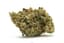 White Dream Buds 3.50 Gram