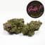 Giraffe P Buds 28 Gram