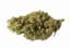 Black Mamba Buds 14 Gram