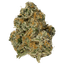 Orange Julius Buds 3.50 Gram