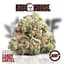 Candy Cartel Buds 3.50 Gram