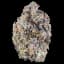 Bananas Buds 5.66 Gram