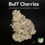 Cherries Buds 14 Gram