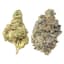 Froot Stripez Shake 7 Gram