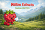 Raspberry Cough Buds 3.50 Gram